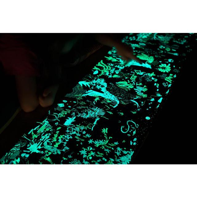 夜光找一找：不可思議的雨林大探索